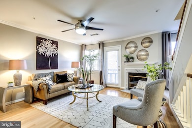 5700 Chapman Mill Dr unit 340, Rockville, MD 20852 - photo 4