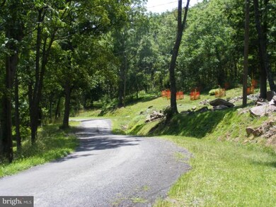 213 Cave Mountain, Upper Tract, WV 26866 - photo 7