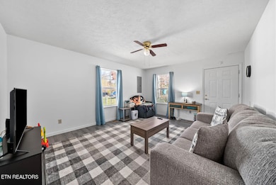 516 Old Mail Rd, Crossville, TN 38555 - photo 6