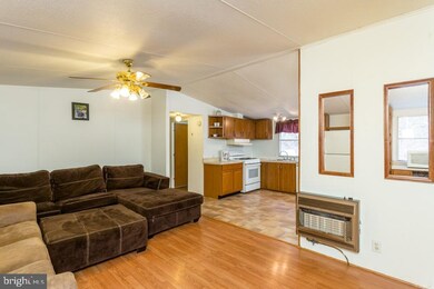 2131 Broad Run Rd, Brandywine, WV 26802 - photo 5