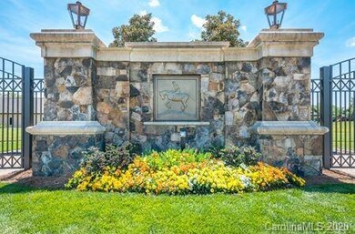 10032 Strike the Gold Ln unit 195, Waxhaw, NC 28173 - photo 5