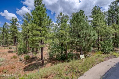 2080 S High Sierra Ct unit 86A, Show Low, AZ 85901 - photo 4