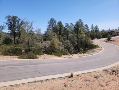 1109 N Alyssa Cir, Payson, AZ 85541 - photo 4