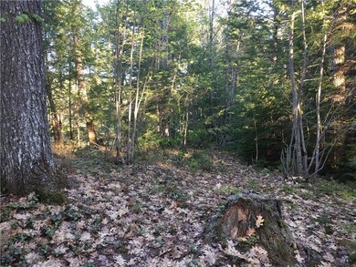 Maine Riverfront Land for Sale in...
