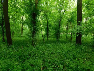 0 Dam Rd, Laurel, IN 47024 - photo 7