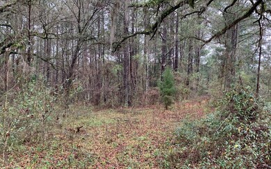 TBD Churchill Way, Lake City, FL 32025 - photo 3