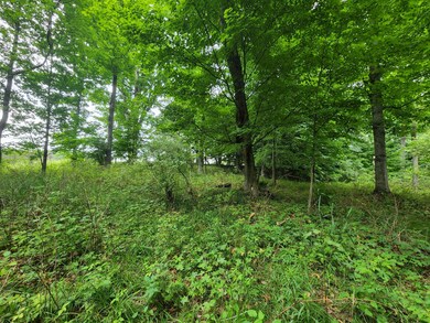 01 1 Mile Rd, Reed City, MI 49677 - photo 4