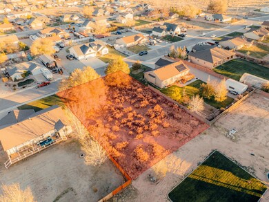 20241121-DJI_0924_HL_3