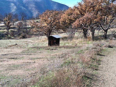 829 Oak Knoll Rd, Horse Creek, CA 96050 - photo 3