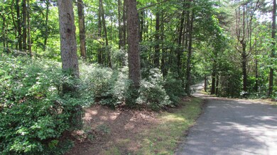 IMG_0020