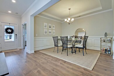 IMG_0223_IMG_0233-copy