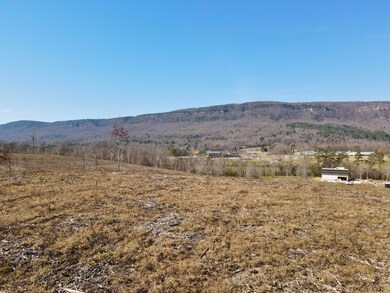 0 Industrial Pike, Whitwell, TN 37397 - photo 4