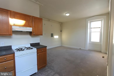 100 E Price St unit 1-A, Philadelphia, PA 19144 - photo 5