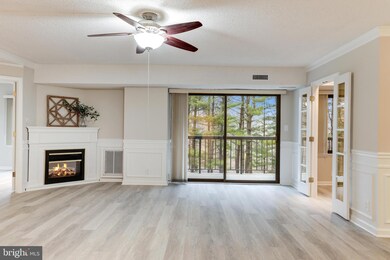 Lakeside Plaza Condominium unit 302, Baileys Crossroads, VA 22041 - photo 6