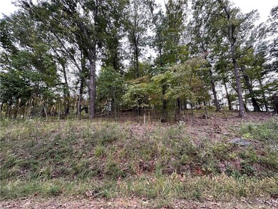 Lot 3 Silver Summit Rd, Eureka Springs, AR 72631 - photo 5