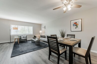 10084 Holly Ln unit 1E, Des Plaines, IL 60016 - photo 4