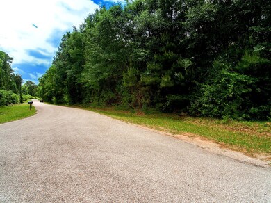 LOTS 21 & 22 Sweet Bay Cir, Magnolia, TX 77354 - photo 7