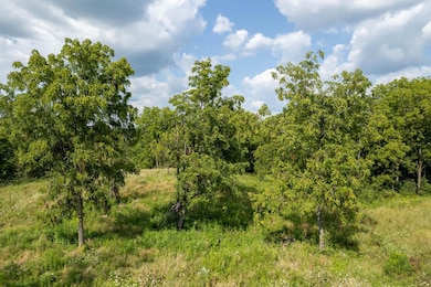 Partially wooded parcel