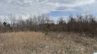 00 Kent St, Phil Campbell, AL 35581 - photo 3