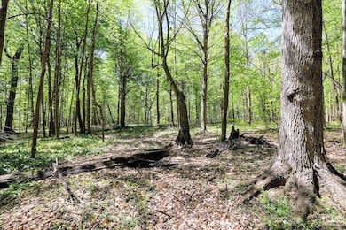 59371 4th Ave Lot unit WP001, Grand Junction, MI 49056 - photo 7