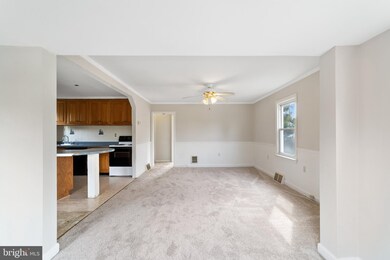 228 Hunter Ave, Trenton, NJ 08610 - photo 3