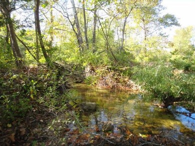 East Side of land Creek 2