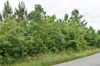 View of local wilderness