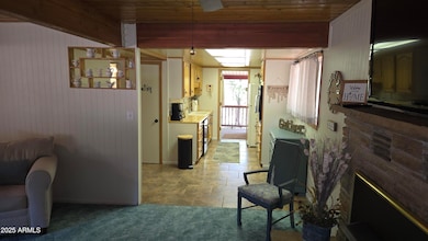 4818 N Sycamore Dr, Pine, AZ 85544 - photo 5