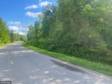 31069 Duluth Missabe and Iron, Greenway Township, MN 55775 - photo 3