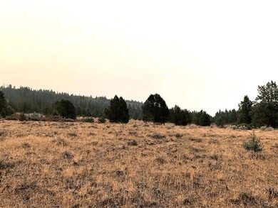 0 Crocodile unit 25654430, Bonanza, OR 97623 - photo 2