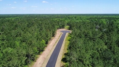 Lot 16 Grandview Dr, Albany, GA 31721 - photo 7