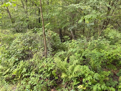 0 Sally Burr Rd, Litchfield, CT 06759 - photo 3