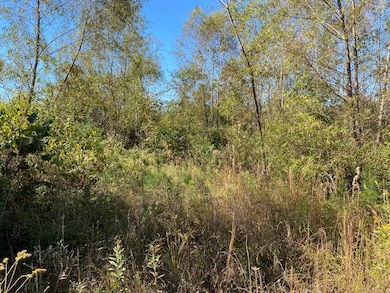 0 Highway 219 unit 11609592, Centreville, AL 35042 - photo 6