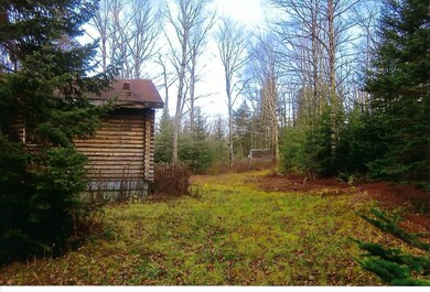 1212 Toad Pond Rd, Morgan, VT 05853 - photo 5