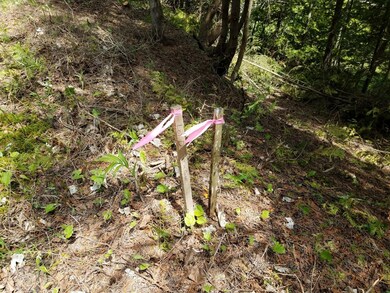 Balsam Bluff Lots (4)