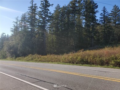 0 Center Rd unit 1674675, Quilcene, WA 98376 - photo 2