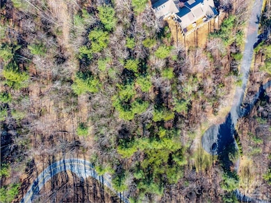 000 Didrikson Way unit 244, Hendersonville, NC 28739 - photo 4