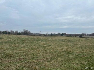 000 Celeste Estates Dr, Waterloo, IL 62298 - photo 4