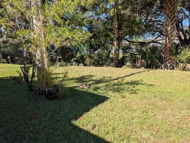 22 Audubon Way, Flagler Beach, FL 32136 - photo 3