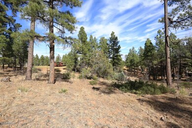 Pad View3