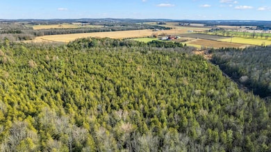 Lot 3 Maple Ln, Grant, WI 54486 - photo 5