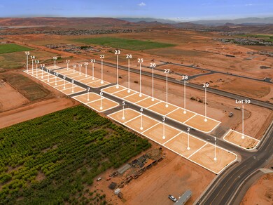 PeachSpringsEstates_4