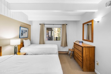 508 E Lionshead Cir unit 211/Weeks 15/16/17, Vail, CO 81657 - photo 4