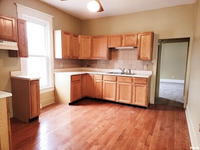 414 S Mclean St, Lincoln, IL 62656 - photo 5