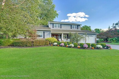 Professional Landscaping