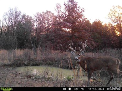 0 Central Grove Rd & Marling Rd N unit MIS25030827, Montgomery, MO 63359 - photo 3