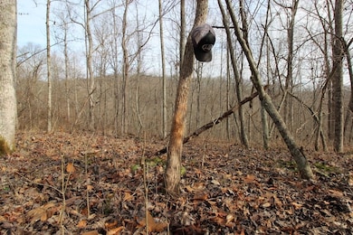 2559 Cr 16, Pedro, OH 45659 - photo 6