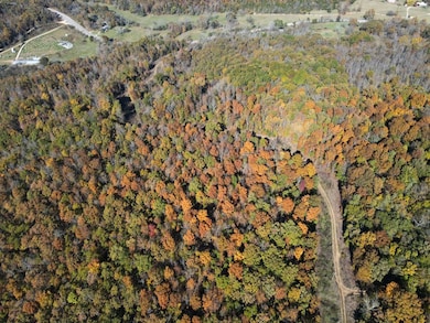 0000 Highway 412, Berryville, AR 72616 - photo 5