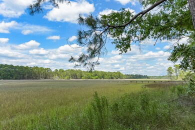 Marsh view