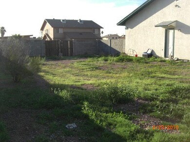 SIDE YARD WITH RV GATE